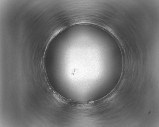 X0000061101145200512022052