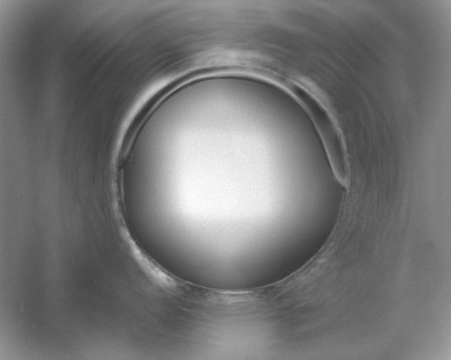 X0000061101152200512022052