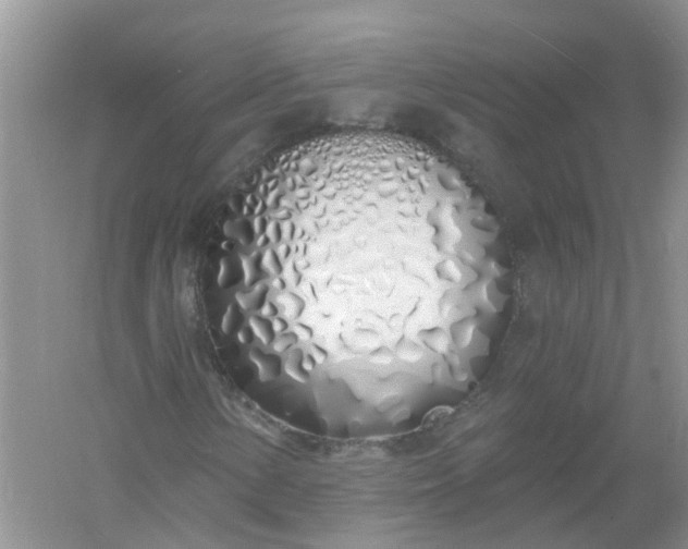X0000061101154200512022051