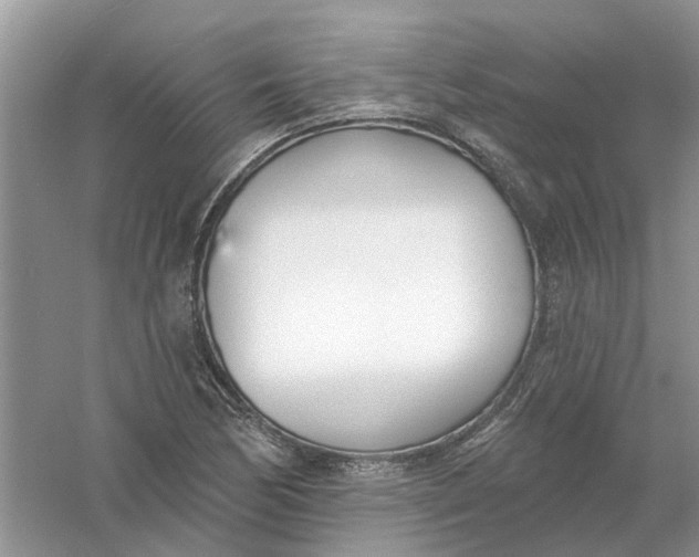 X0000061101170200512022051