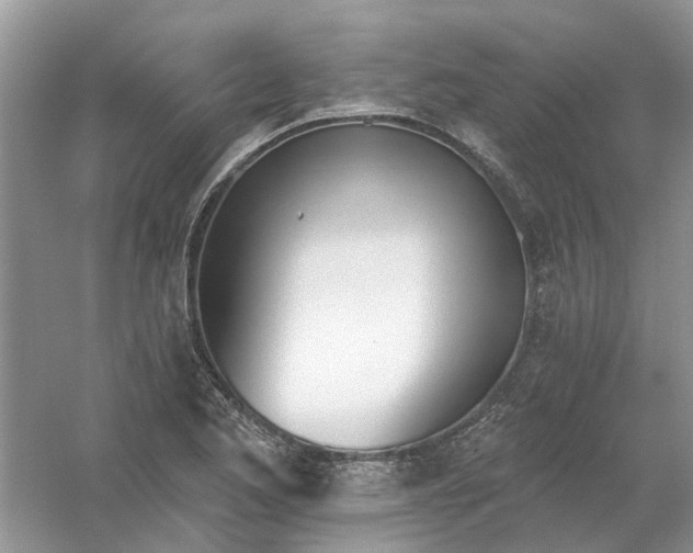 X0000061101173200512022051