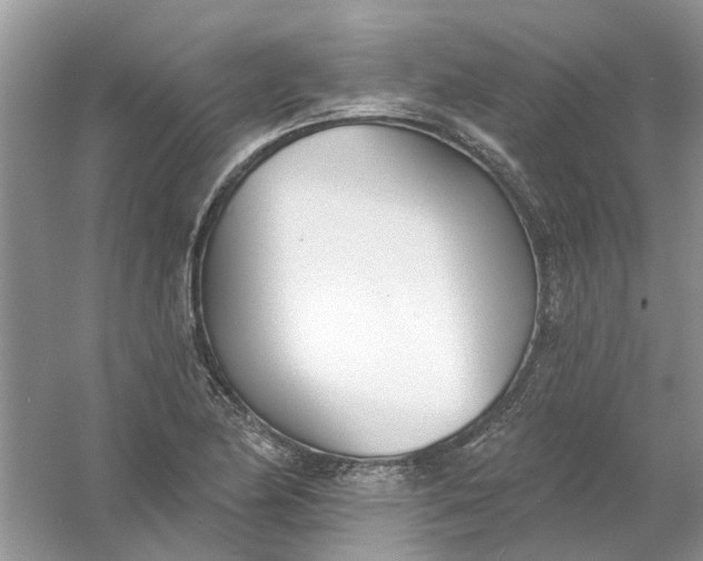 X0000061101174200512022051