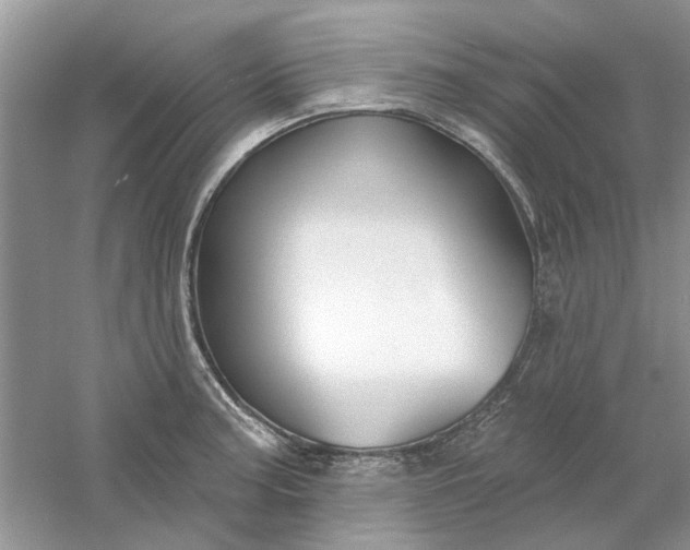 X0000061101187200512022050