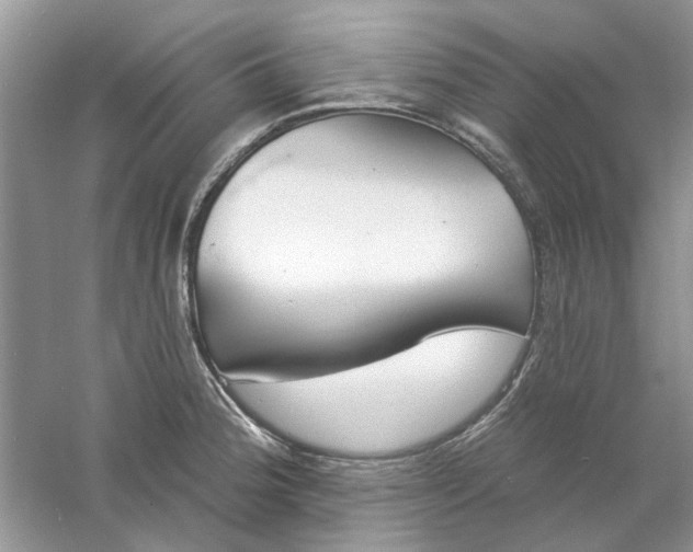 X0000061101188200512022050