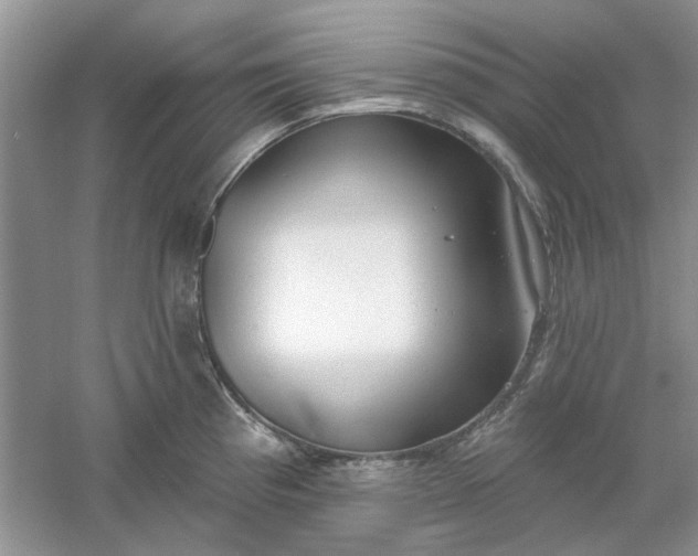 X0000061101193200512022050