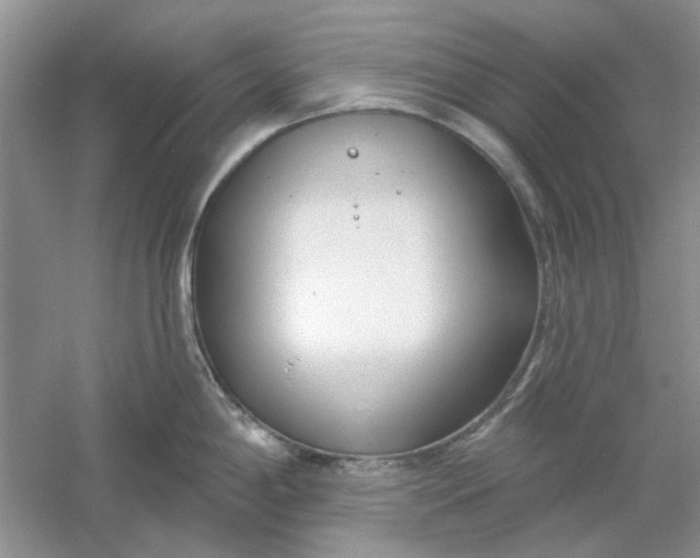 X0000061101198200512022050