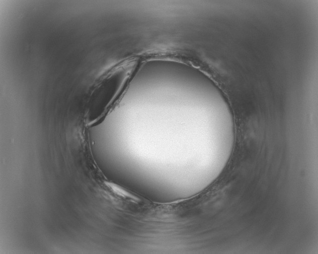 X0000061101206200512022049