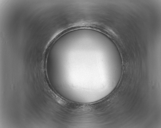 X0000061101216200512022050