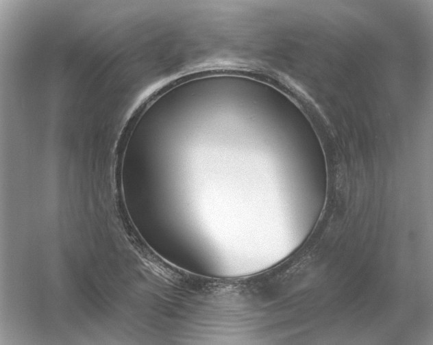 X0000061101222200512022050