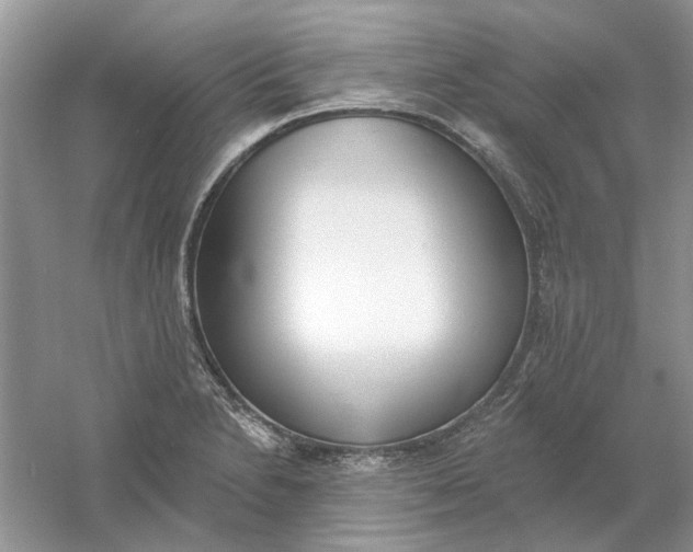 X0000061101230200512022050