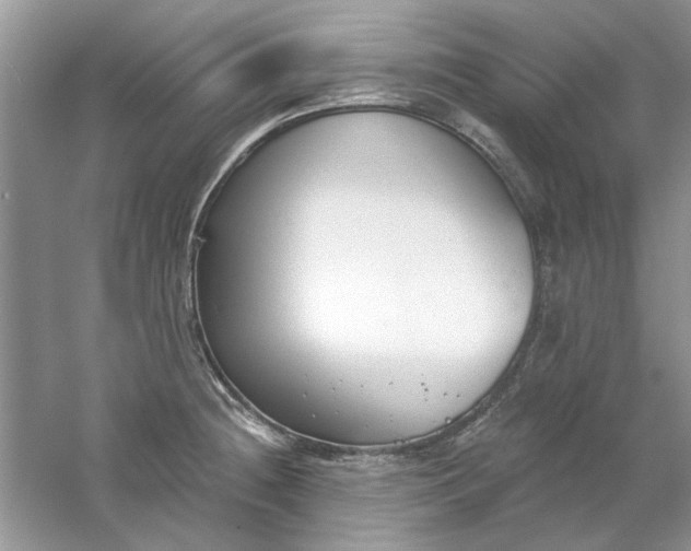 X0000061101236200512022050