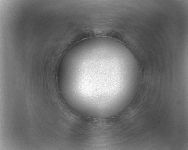X0000061101249200512022049