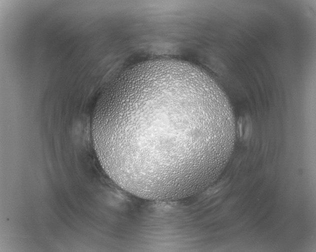 X0000061101251200512022049