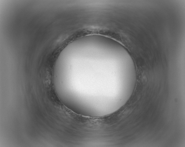 X0000061101253200512022049