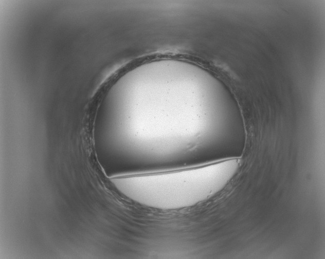 X0000061101256200512022049