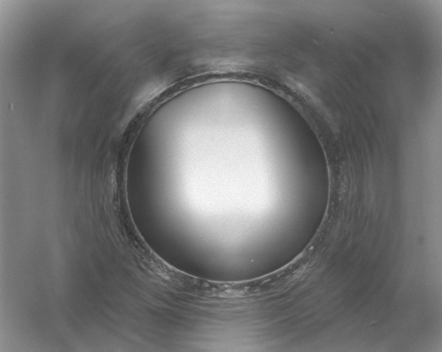 X0000061101261200512022049