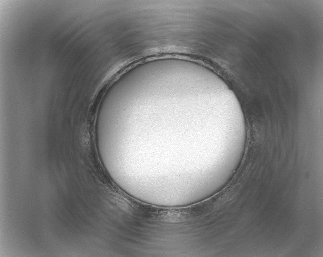 X0000061101266200512022049