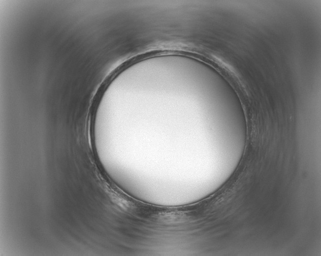 X0000061101272200512022049