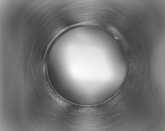 X0000061101284200512022049