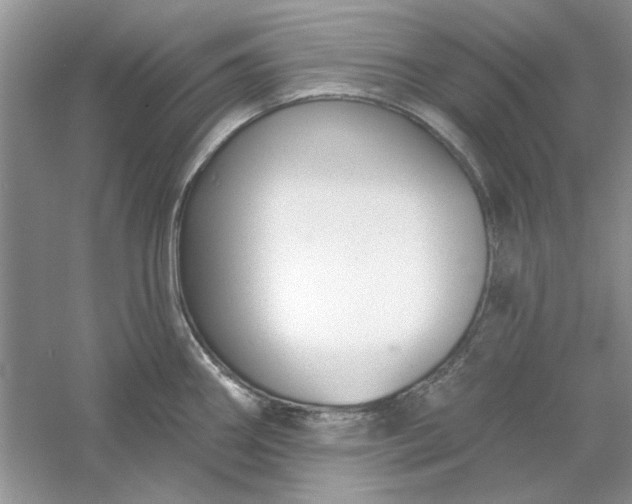 X0000061101290200512022049