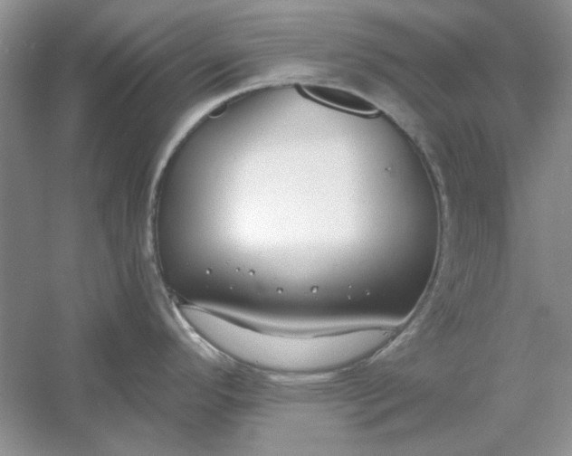 X0000061101296200512022048