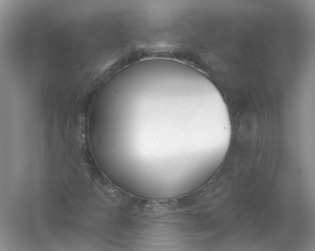 X0000061101301200512022048