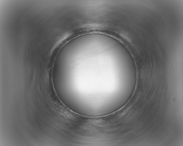 X0000061101309200512022048