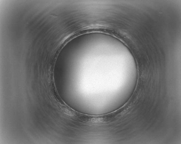 X0000061101313200512022048