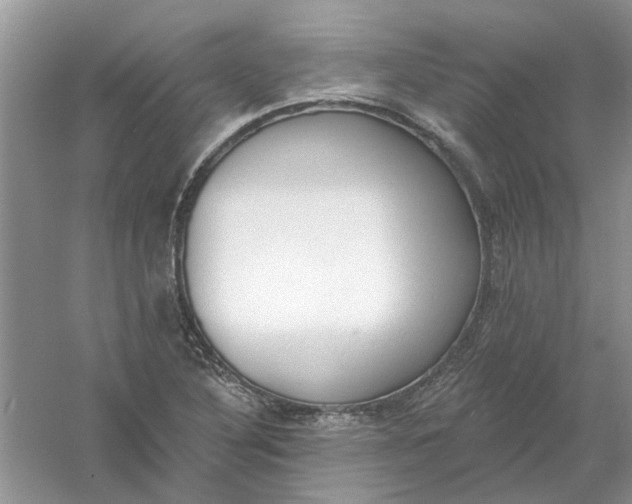 X0000061101316200512022048