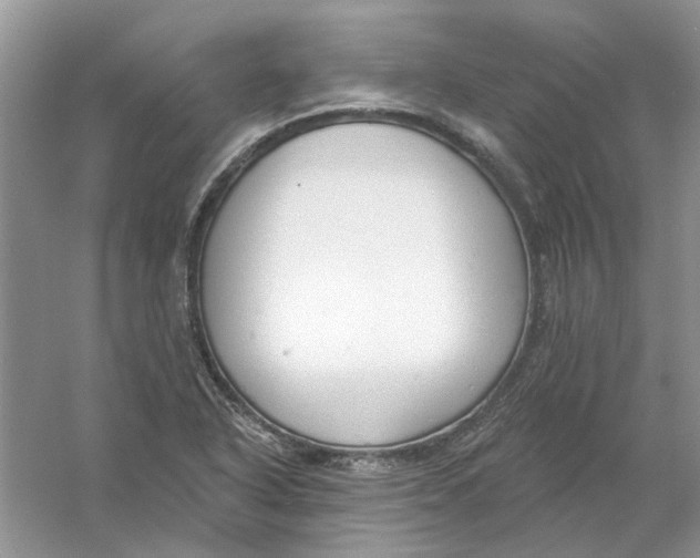 X0000061101318200512022048