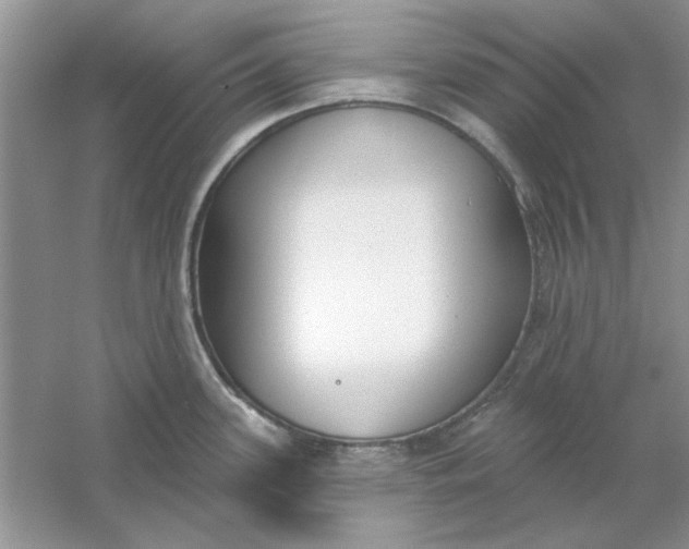 X0000061101339200512022048