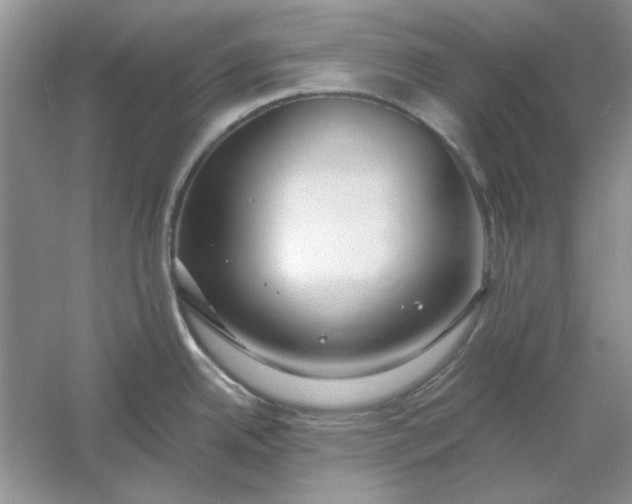 X0000061101342200512022048