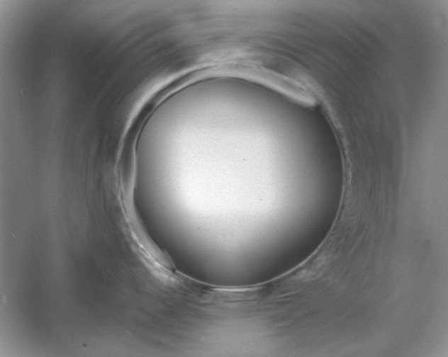 X0000061101344200512022048