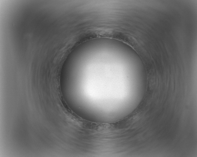 X0000061101345200512022048