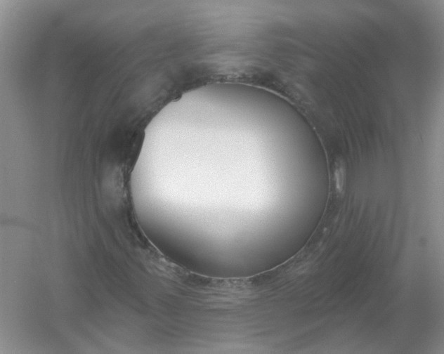 X0000061101347200512022048