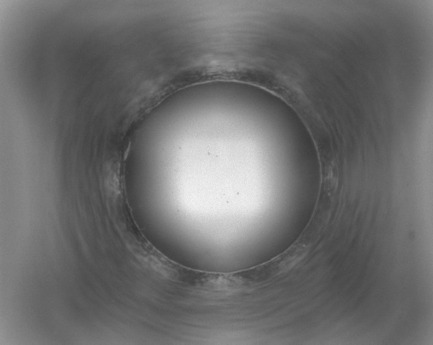 X0000061101348200512022048