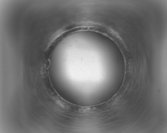 X0000061101352200512022047