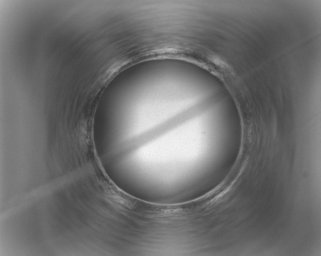 X0000061101353200512022047