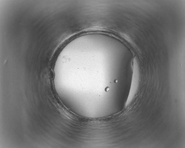 X0000061101356200512022047