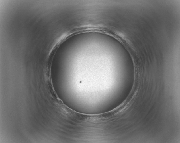 X0000061101357200512022047