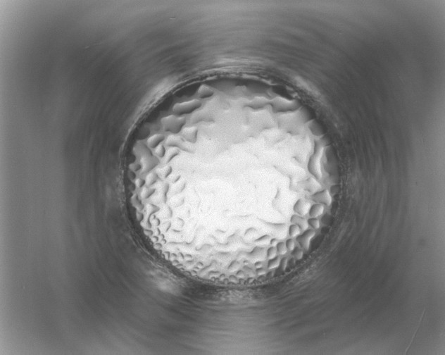 X0000061101362200512022047