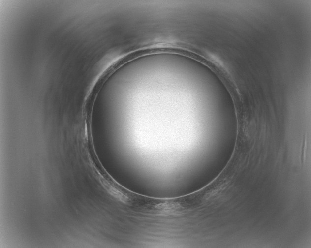 X0000061101368200512022047