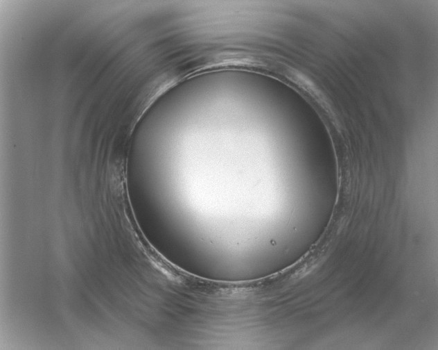 X0000061101377200512022047