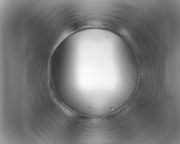 X0000061101378200512022047