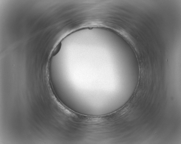 X0000061101382200512022047
