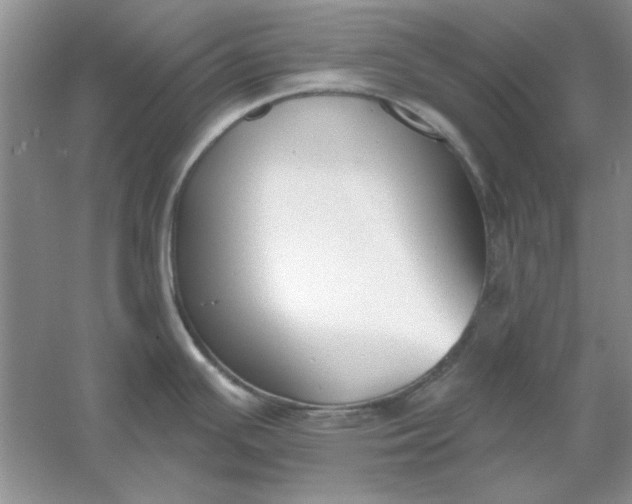 X0000061101391200512022047