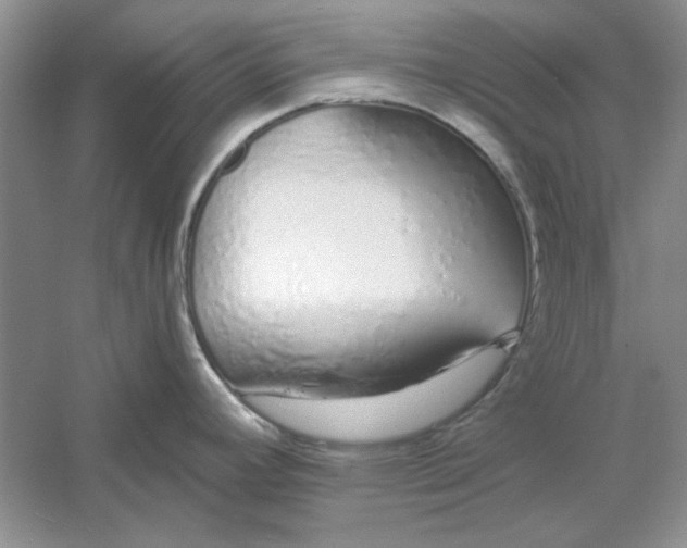 X0000061101392200512022047