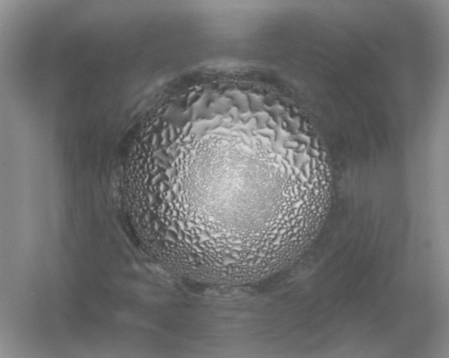 X0000061101397200512022046