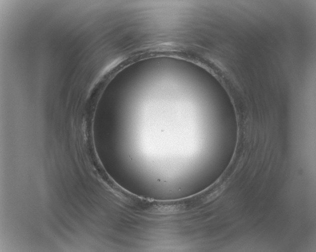 X0000061101402200512022046