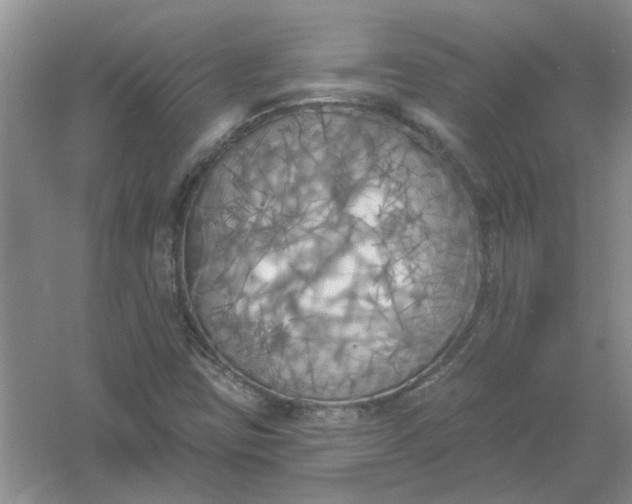 X0000061101403200512022046